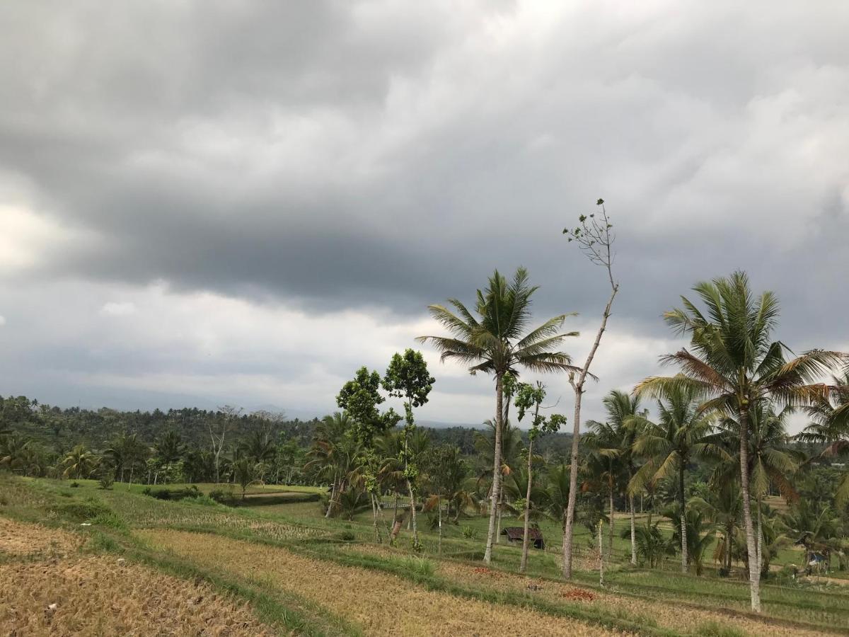 Muni'S Terrace Bungalow Kotaraja ภายนอก รูปภาพ