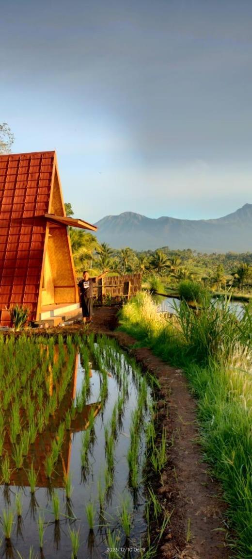 Muni'S Terrace Bungalow Kotaraja ภายนอก รูปภาพ