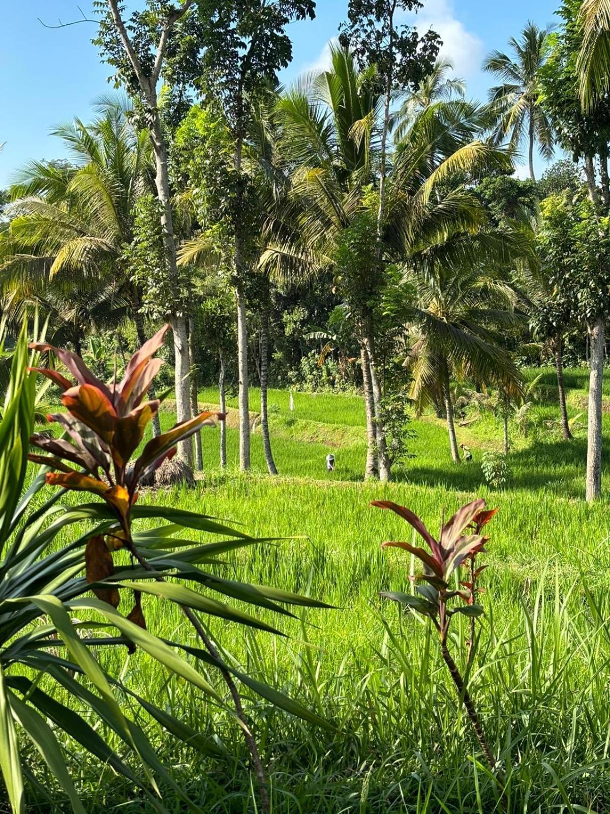 Muni'S Terrace Bungalow Kotaraja ภายนอก รูปภาพ