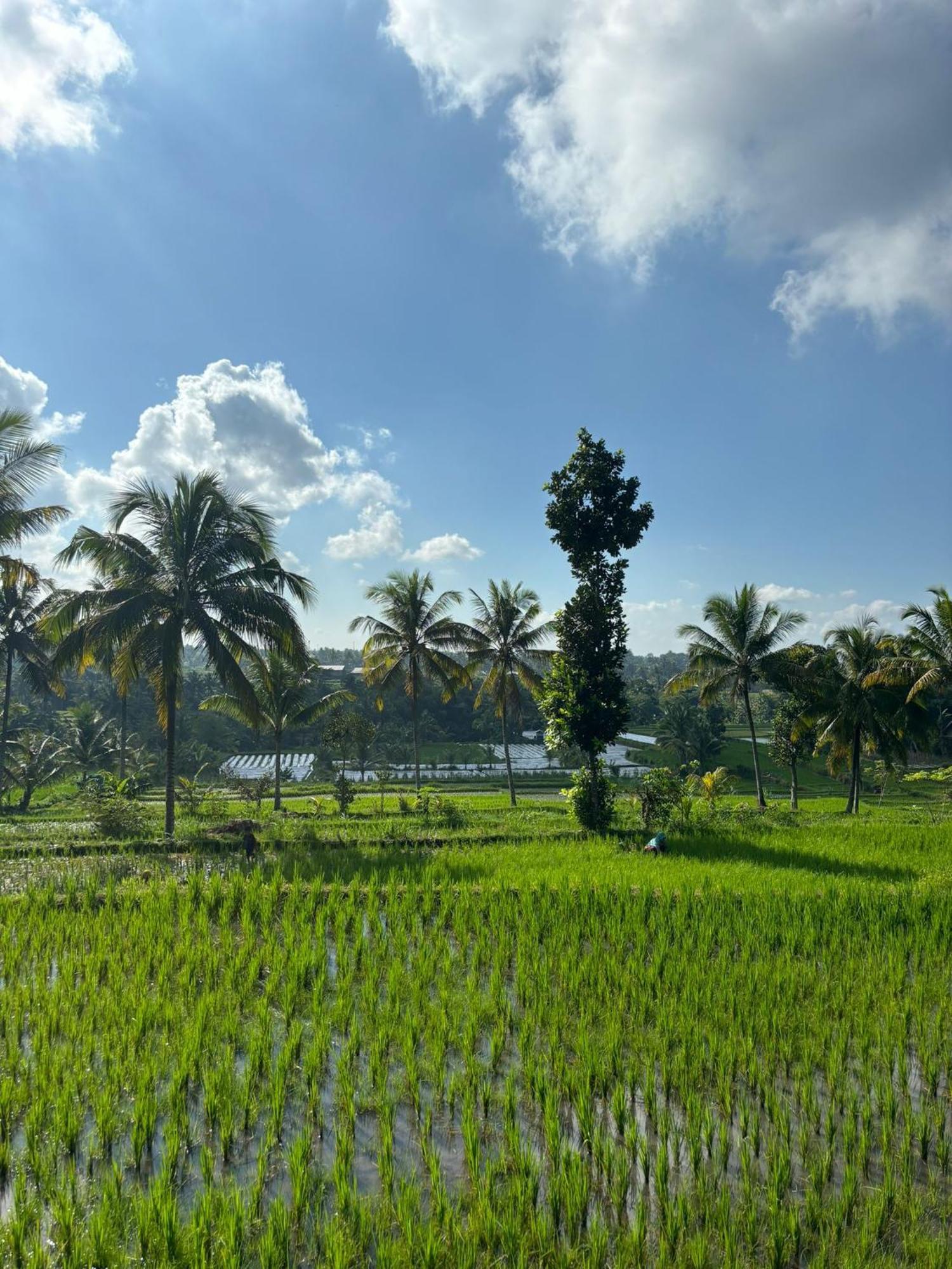 Muni'S Terrace Bungalow Kotaraja ภายนอก รูปภาพ