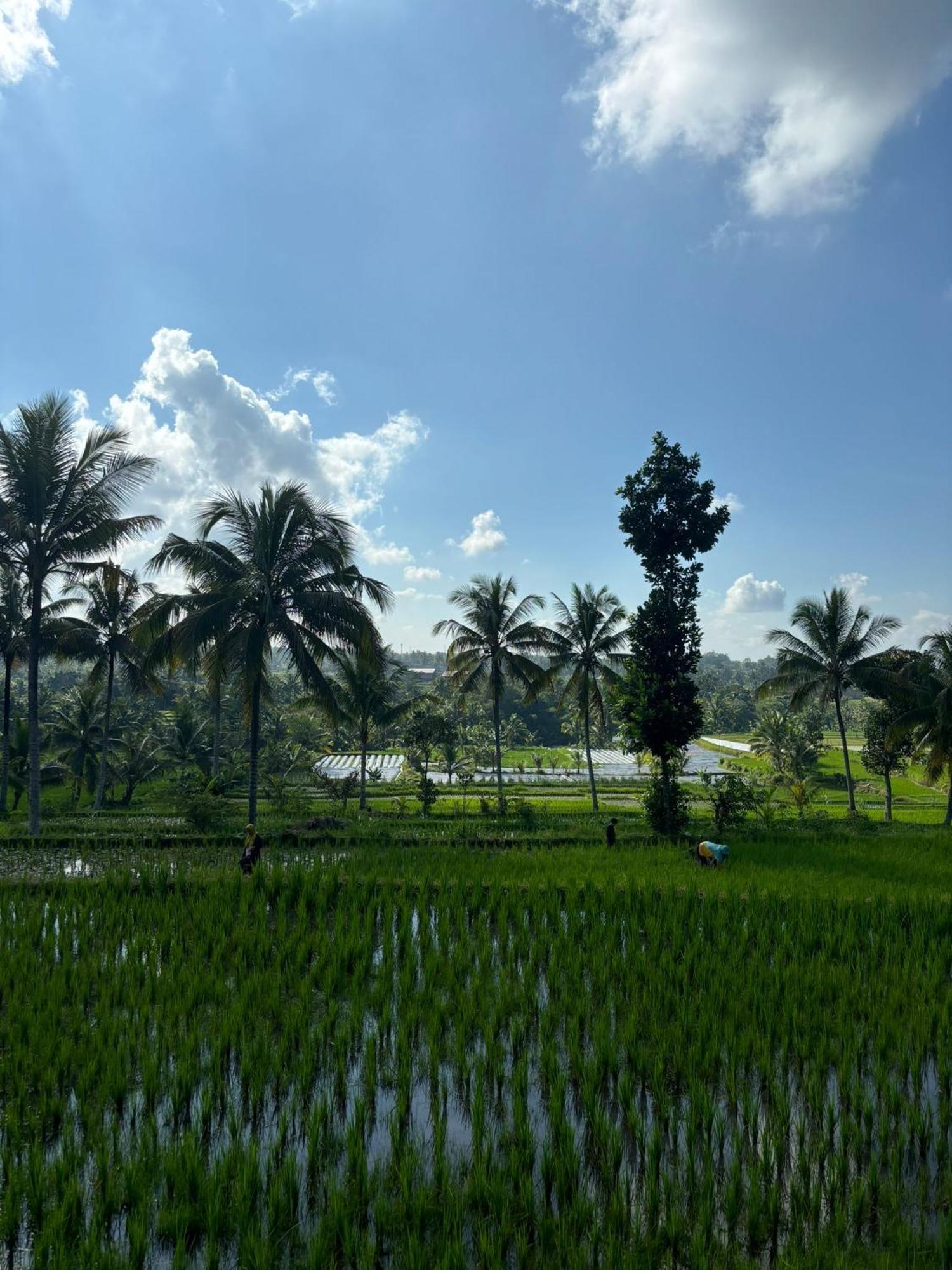 Muni'S Terrace Bungalow Kotaraja ภายนอก รูปภาพ