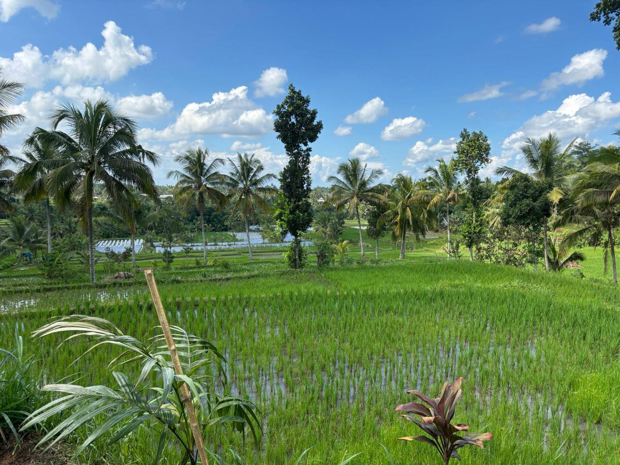 Muni'S Terrace Bungalow Kotaraja ภายนอก รูปภาพ