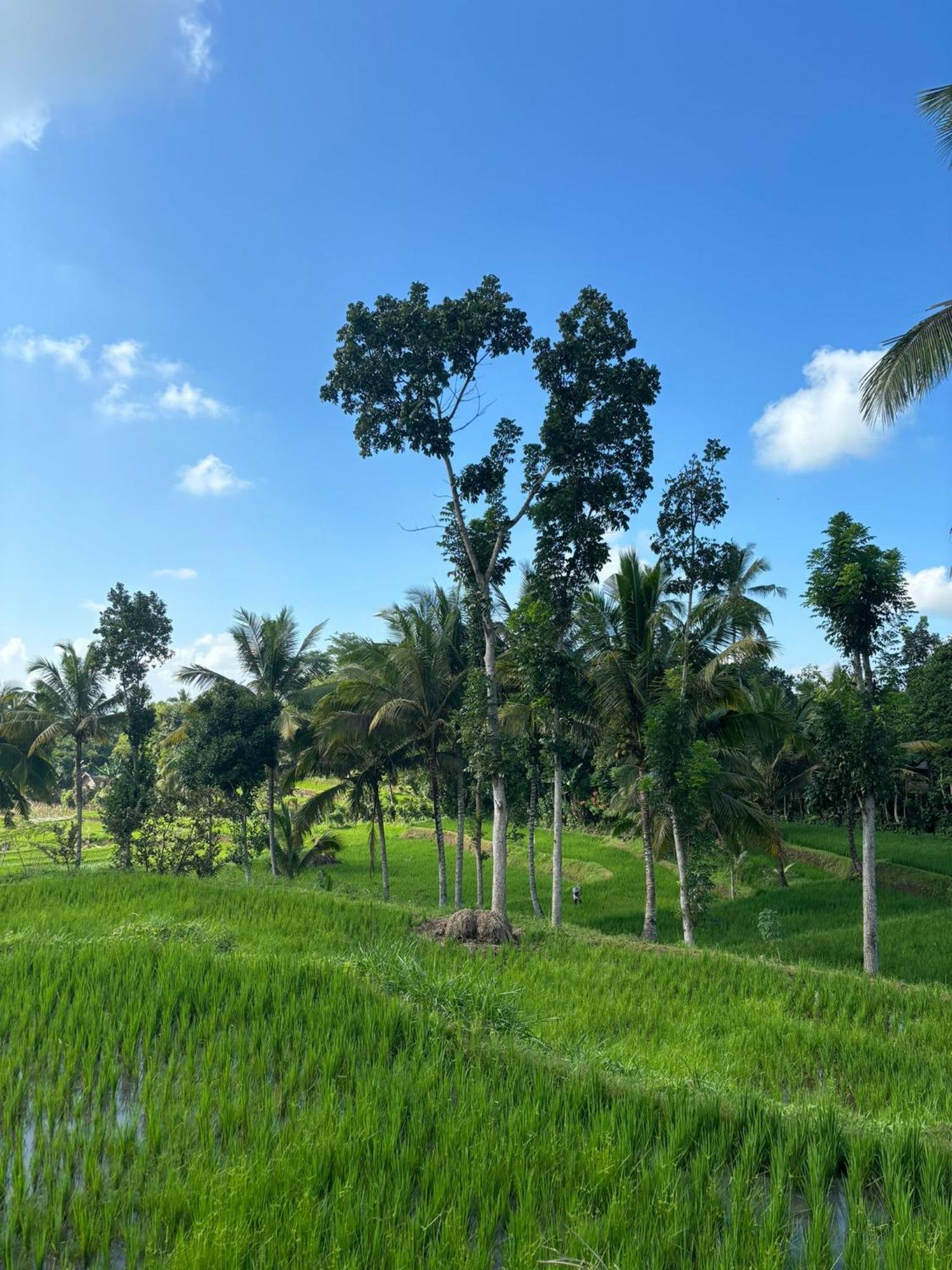 Muni'S Terrace Bungalow Kotaraja ภายนอก รูปภาพ