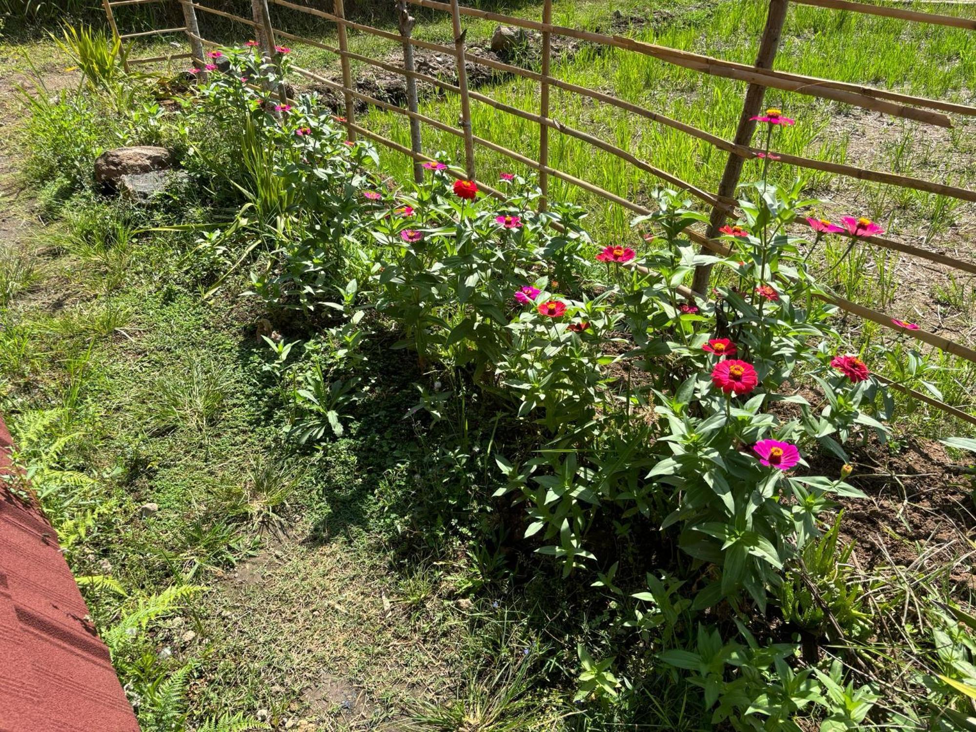 Muni'S Terrace Bungalow Kotaraja ภายนอก รูปภาพ