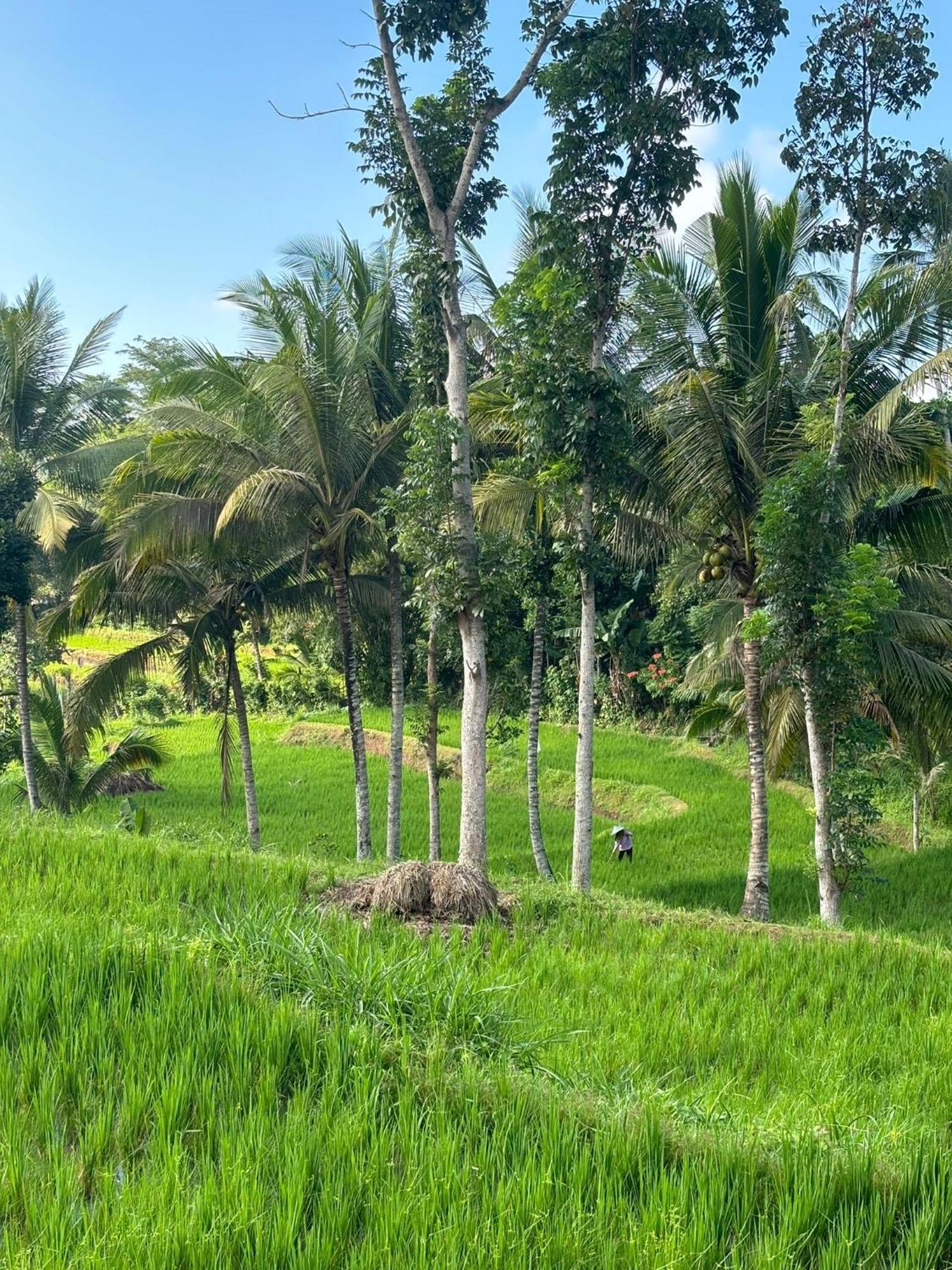 Muni'S Terrace Bungalow Kotaraja ภายนอก รูปภาพ