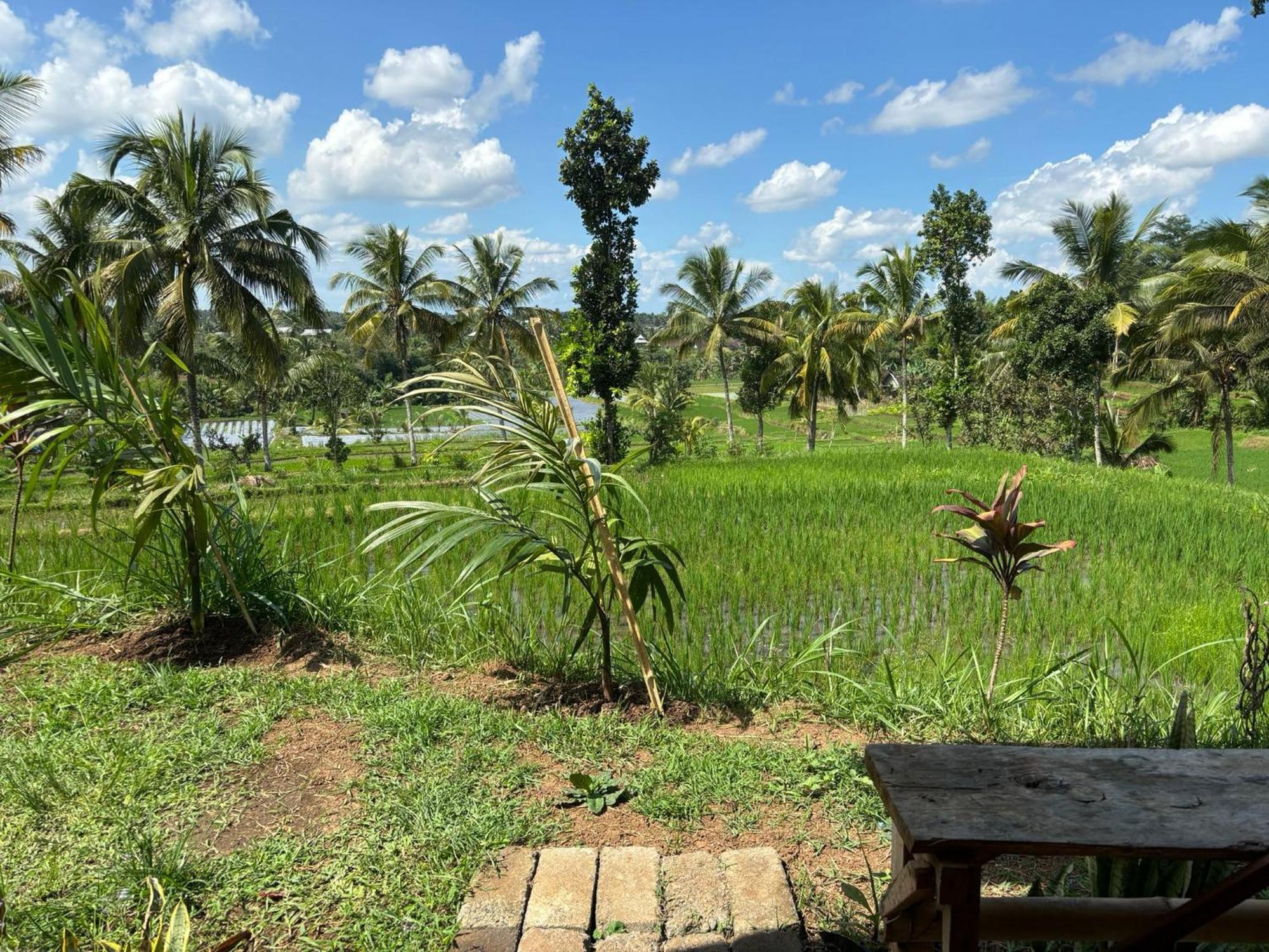 Muni'S Terrace Bungalow Kotaraja ภายนอก รูปภาพ