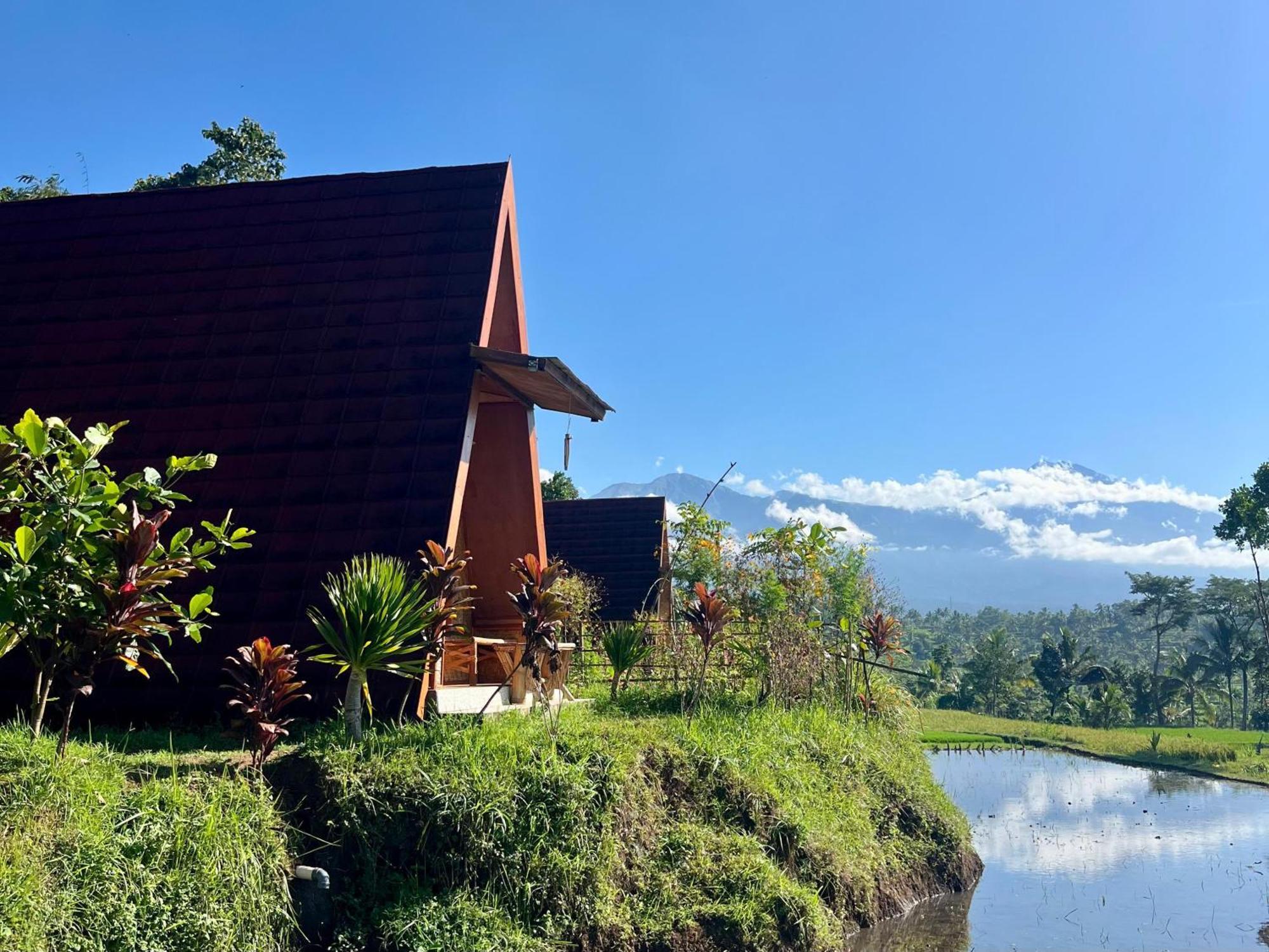 Muni'S Terrace Bungalow Kotaraja ภายนอก รูปภาพ
